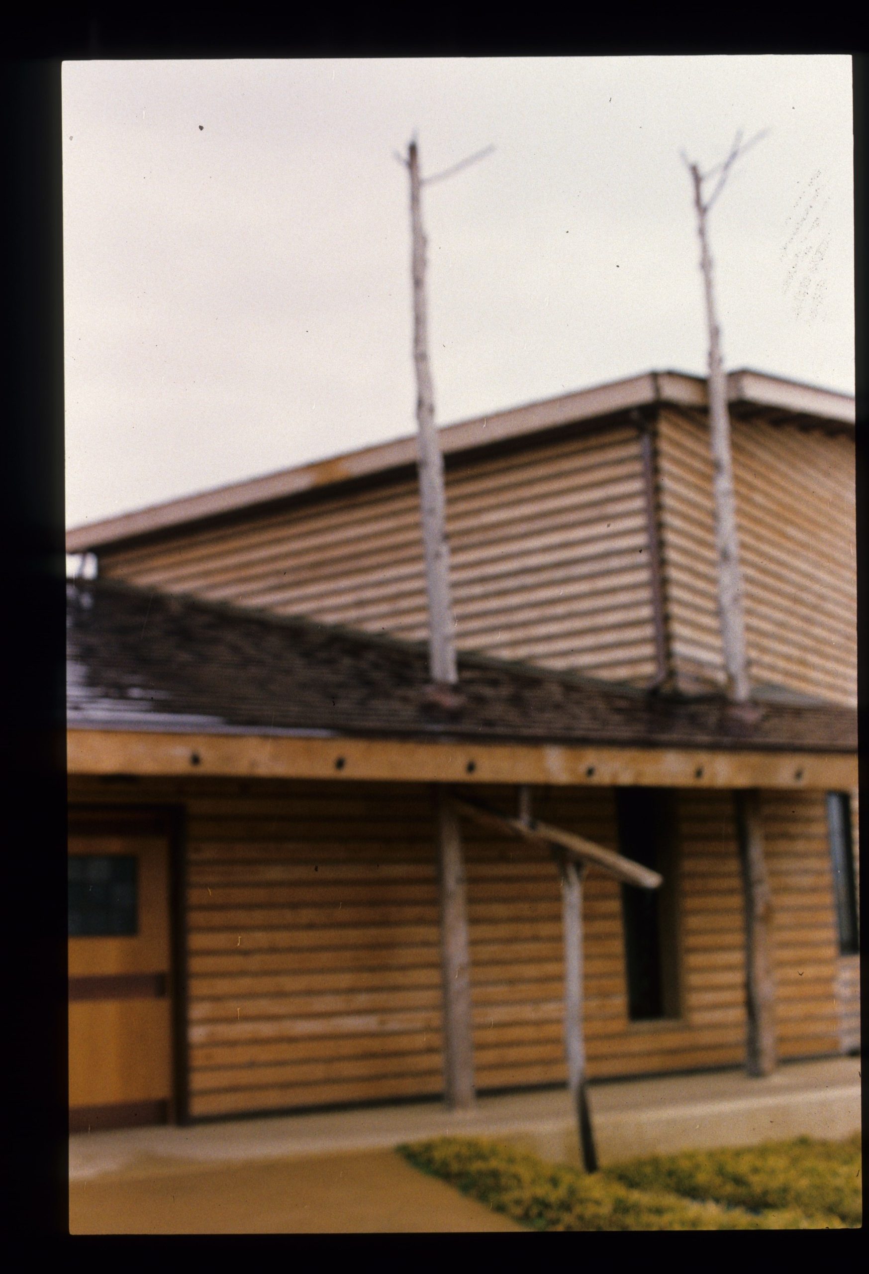 自然素材の魅力   誰でも建築家になれる   建築探偵の佳作