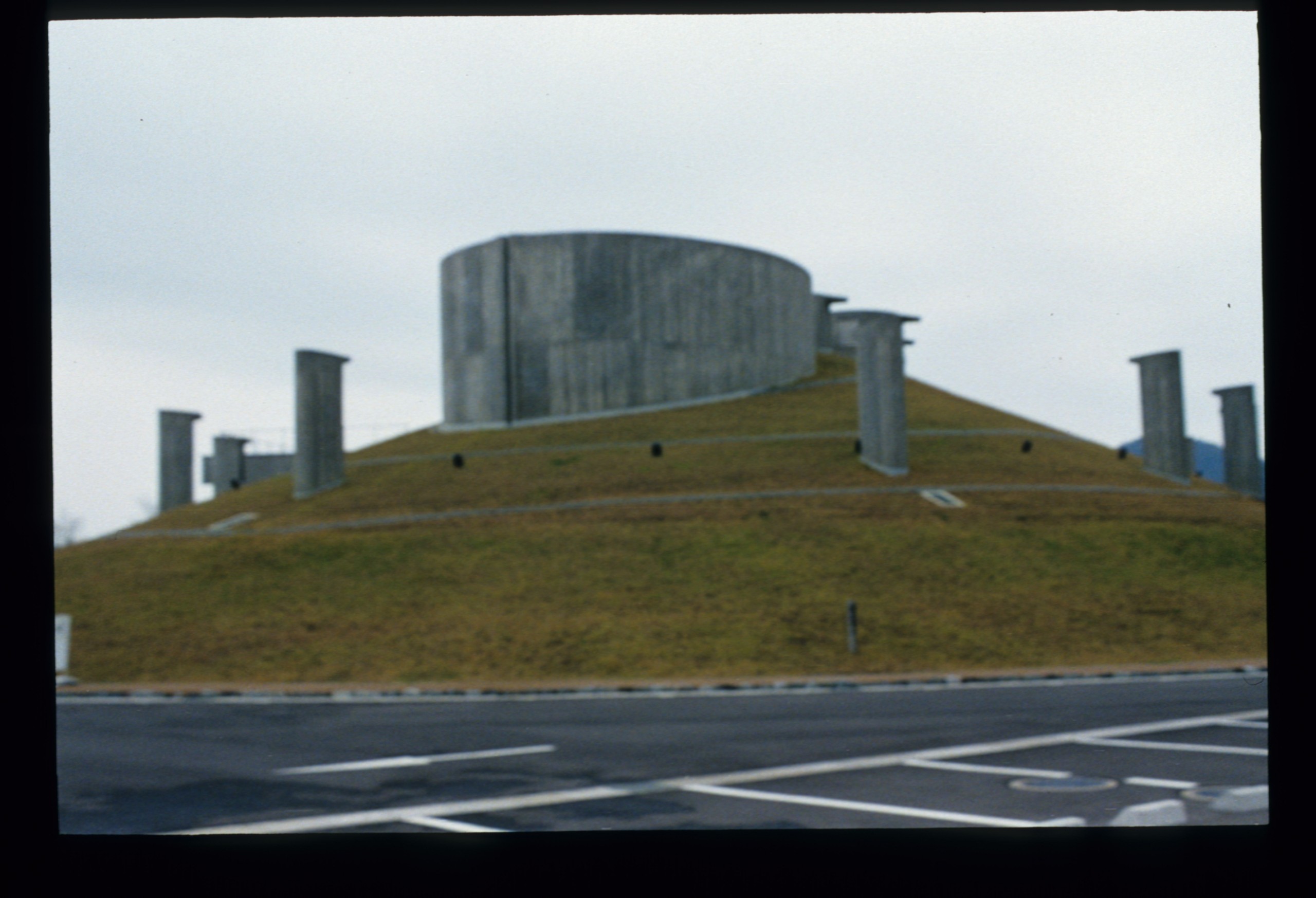縄文の森を埋め込む  屋上緑化　壁面緑化