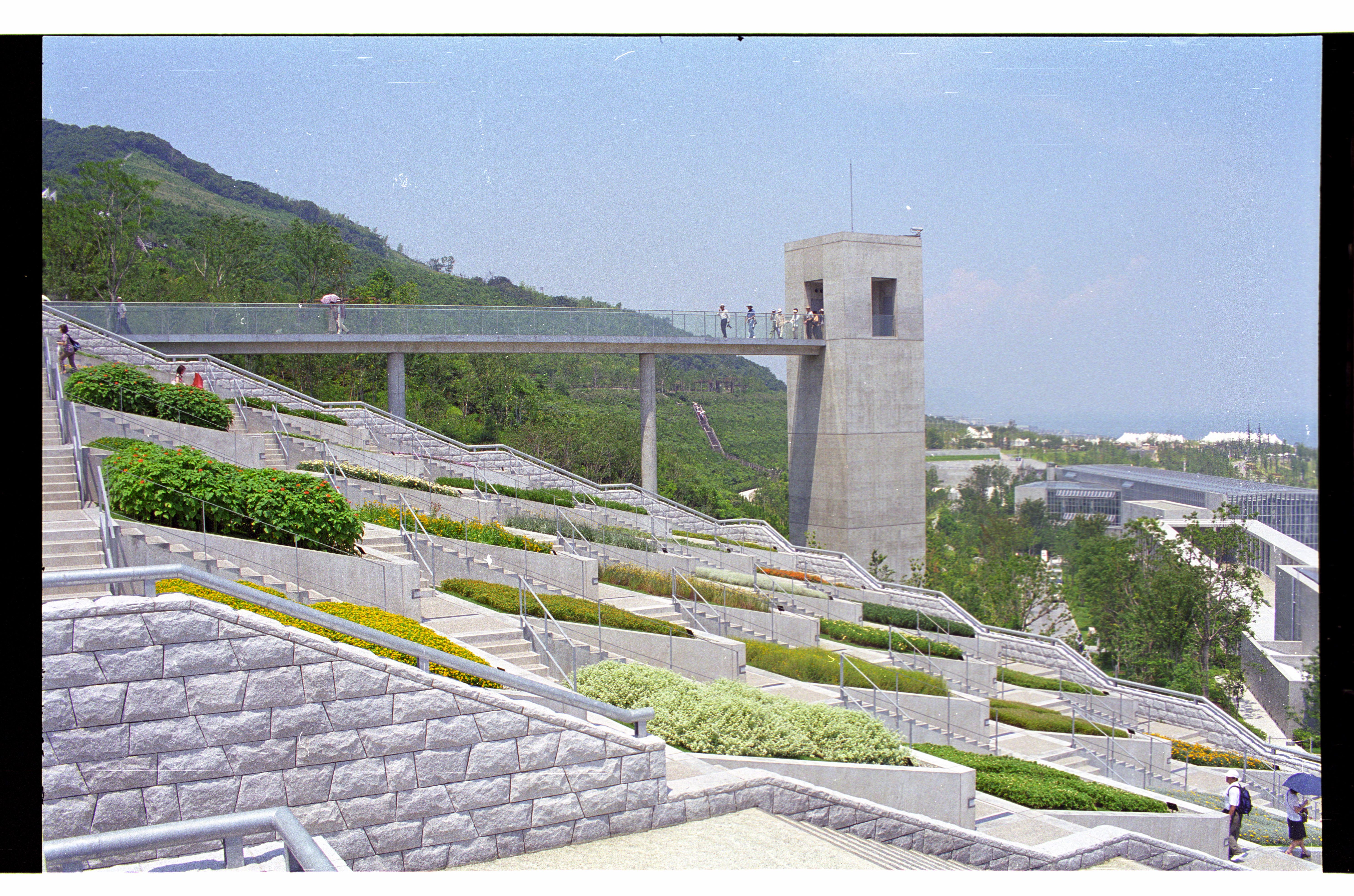 緑再生の巨大な実験　傷つけて癒す・・・建築の本質