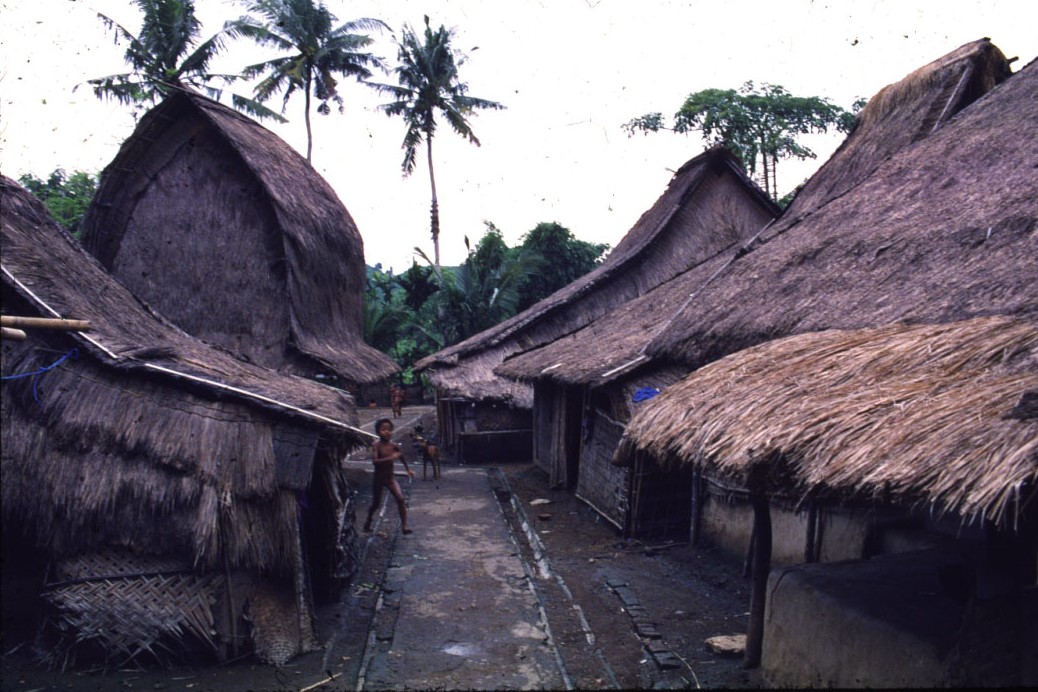 世界建築図鑑⑪　Lombok